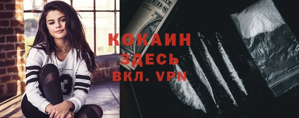 ГАЛЛЮЦИНОГЕННЫЕ ГРИБЫ Пестово