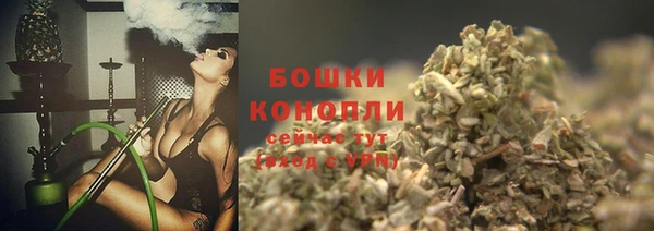 ГАЛЛЮЦИНОГЕННЫЕ ГРИБЫ Пестово