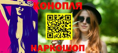 шишки Изобильный