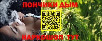 шишки Изобильный