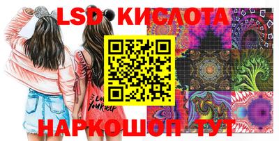 шишки Изобильный