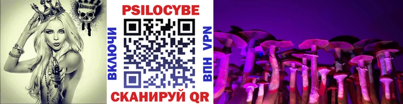 Псилоцибиновые грибы мухоморы  OMG рабочий сайт  нарко площадка телеграм  Истра 