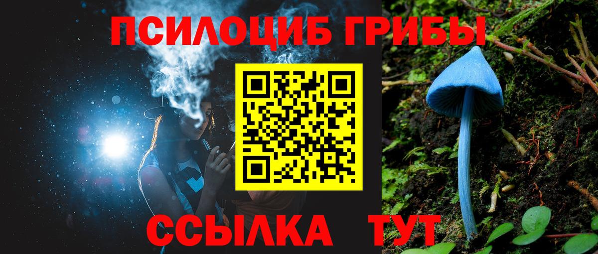 Псилоцибиновые грибы GOLDEN TEACHER  Псилоцибиновые грибы Psilocybe  Истра 