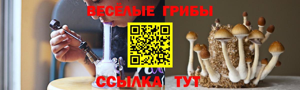 Истра  Псилоцибиновые грибы MAGIC MUSHROOMS  Псилоцибиновые грибы мухоморы  Вход с VPN 